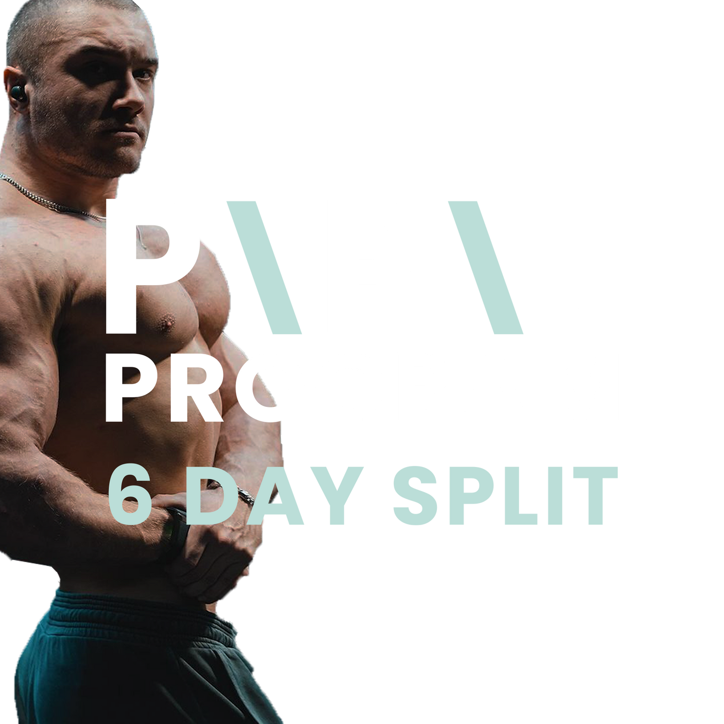 Push pull tapered legs bulking program